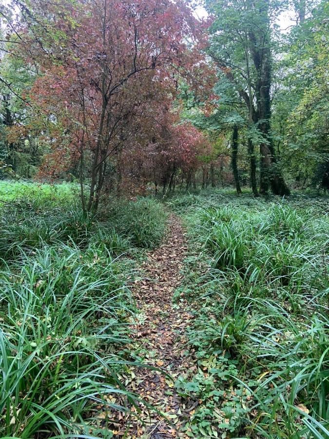 Lacken Millhouse And Gardens Cavan Esterno foto