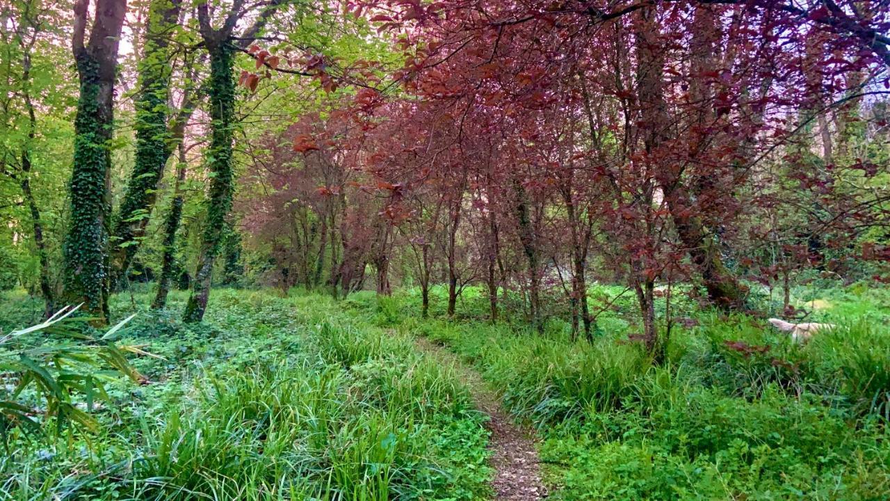 Lacken Millhouse And Gardens Cavan Esterno foto